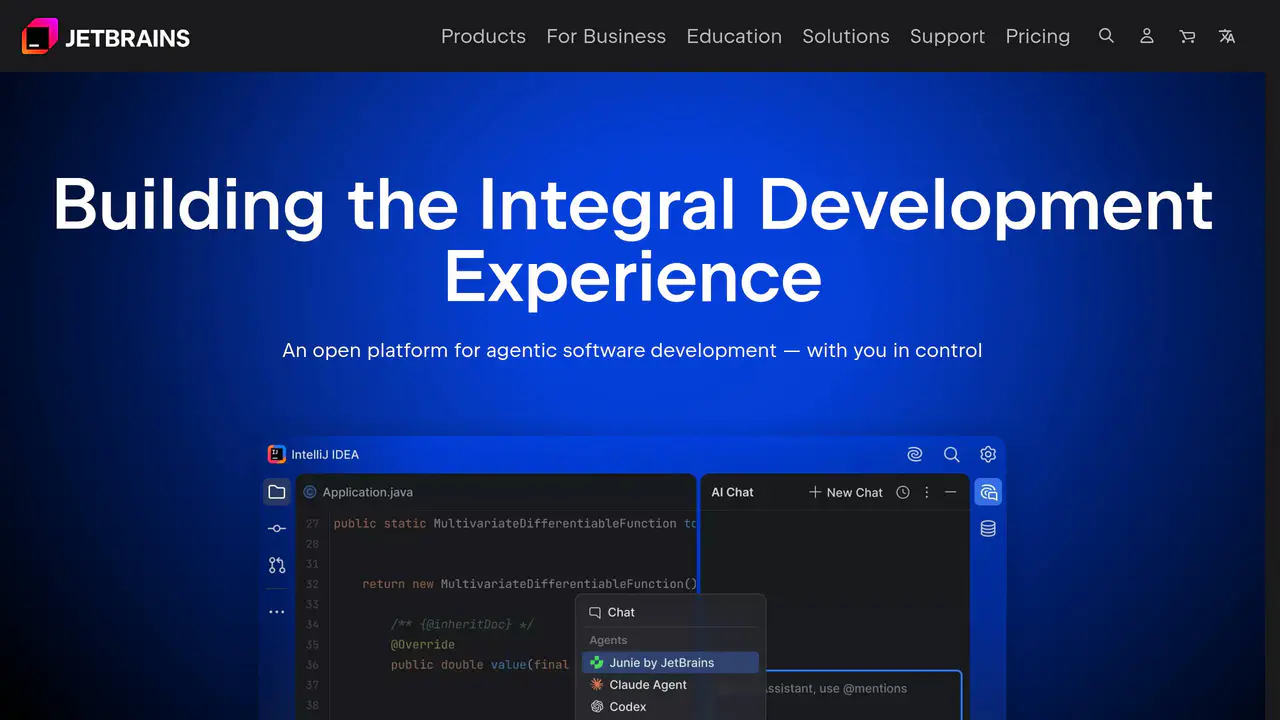 Homepage preview of JetBrains AI Assistant, captured Aug 3, 2026