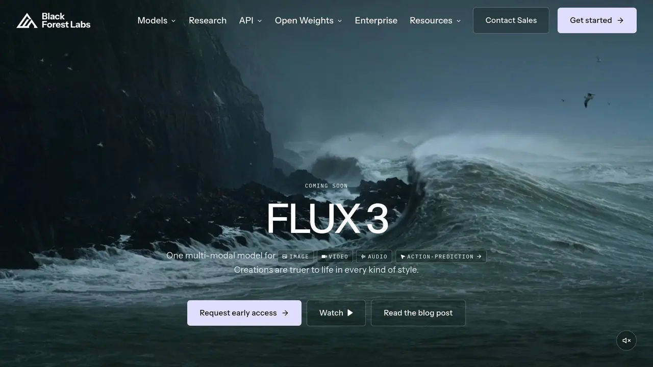 Homepage preview of Black Forest Labs, captured Jul 24, 2026