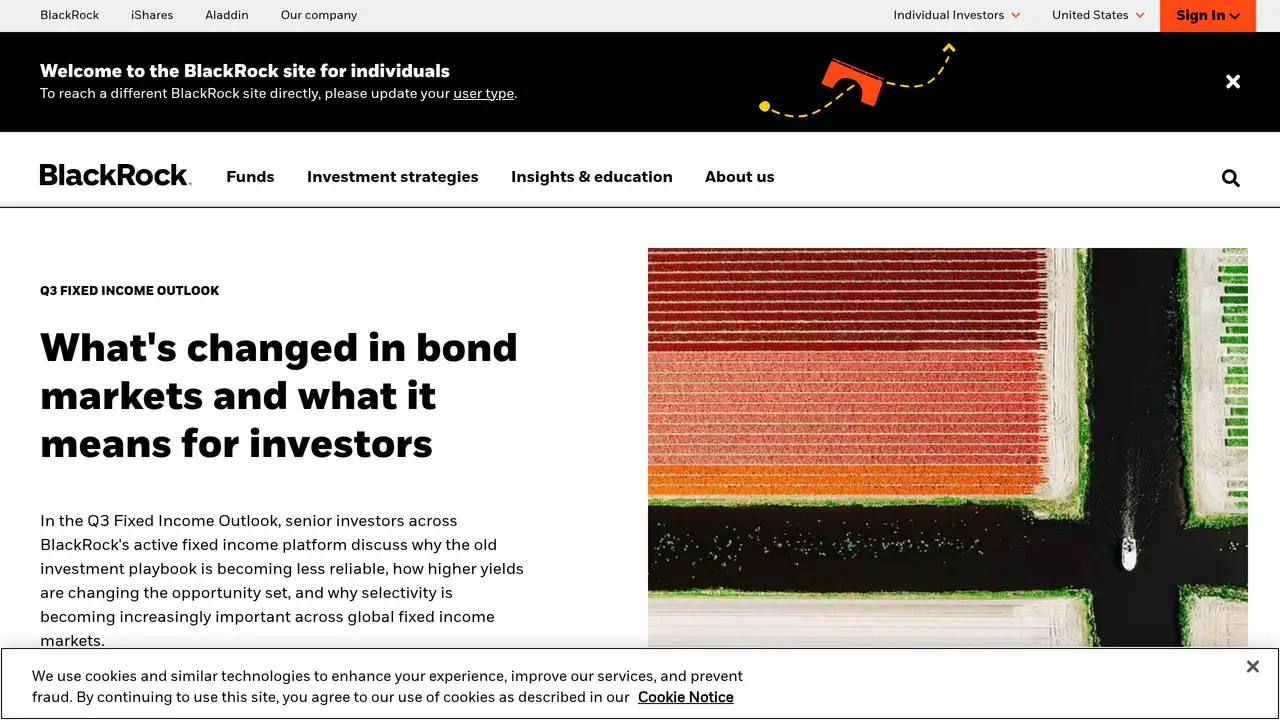 Homepage preview of BlackRock, captured Jul 29, 2026