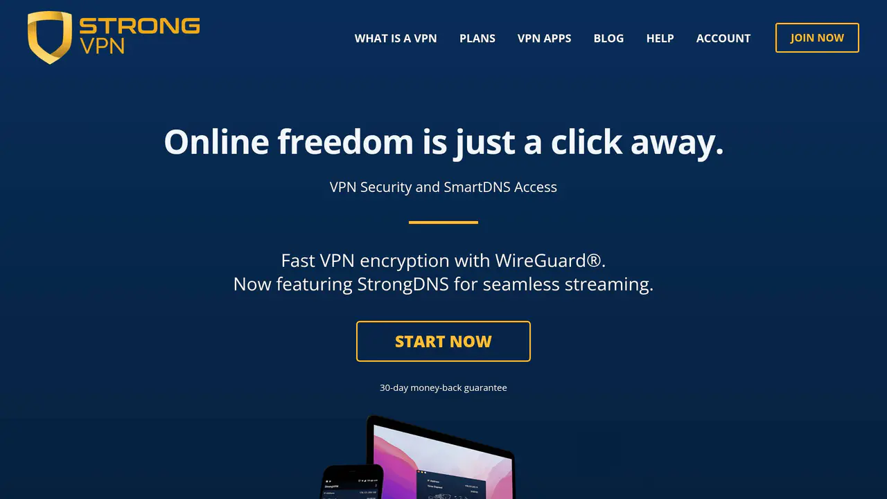 Homepage preview of StrongVPN, captured Aug 1, 2026