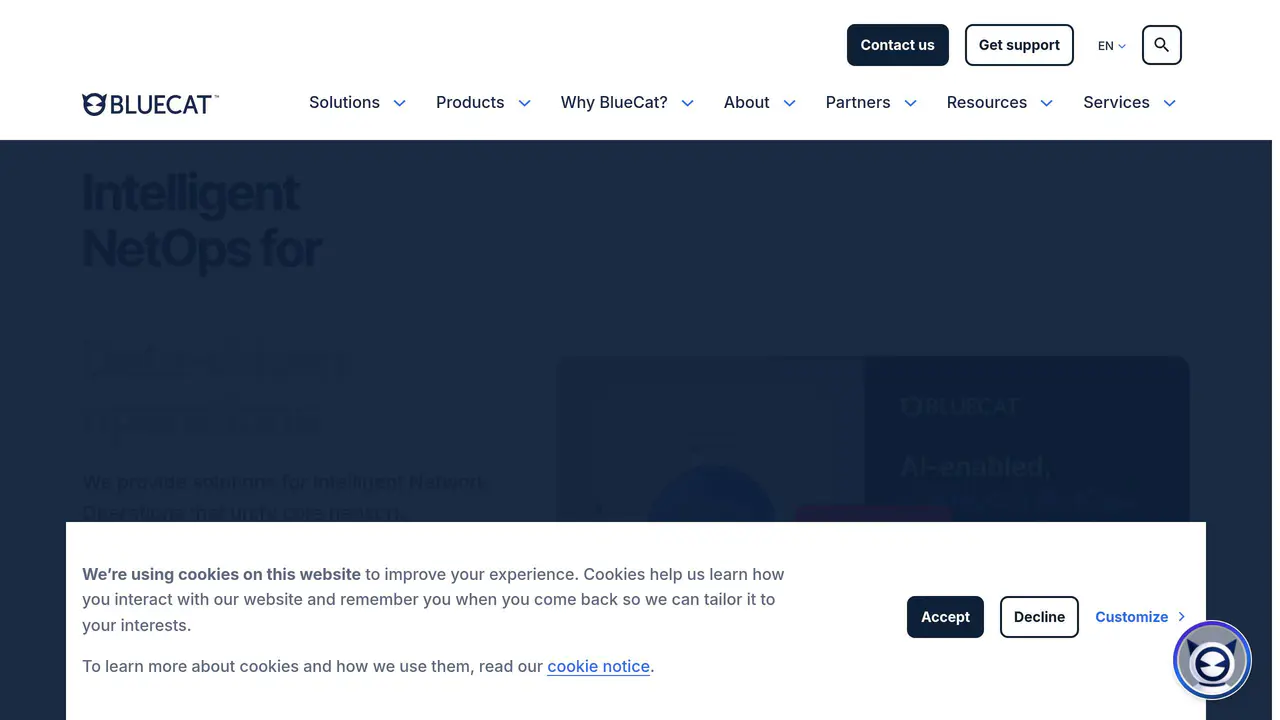 Homepage preview of BlueCat, captured Jul 24, 2026