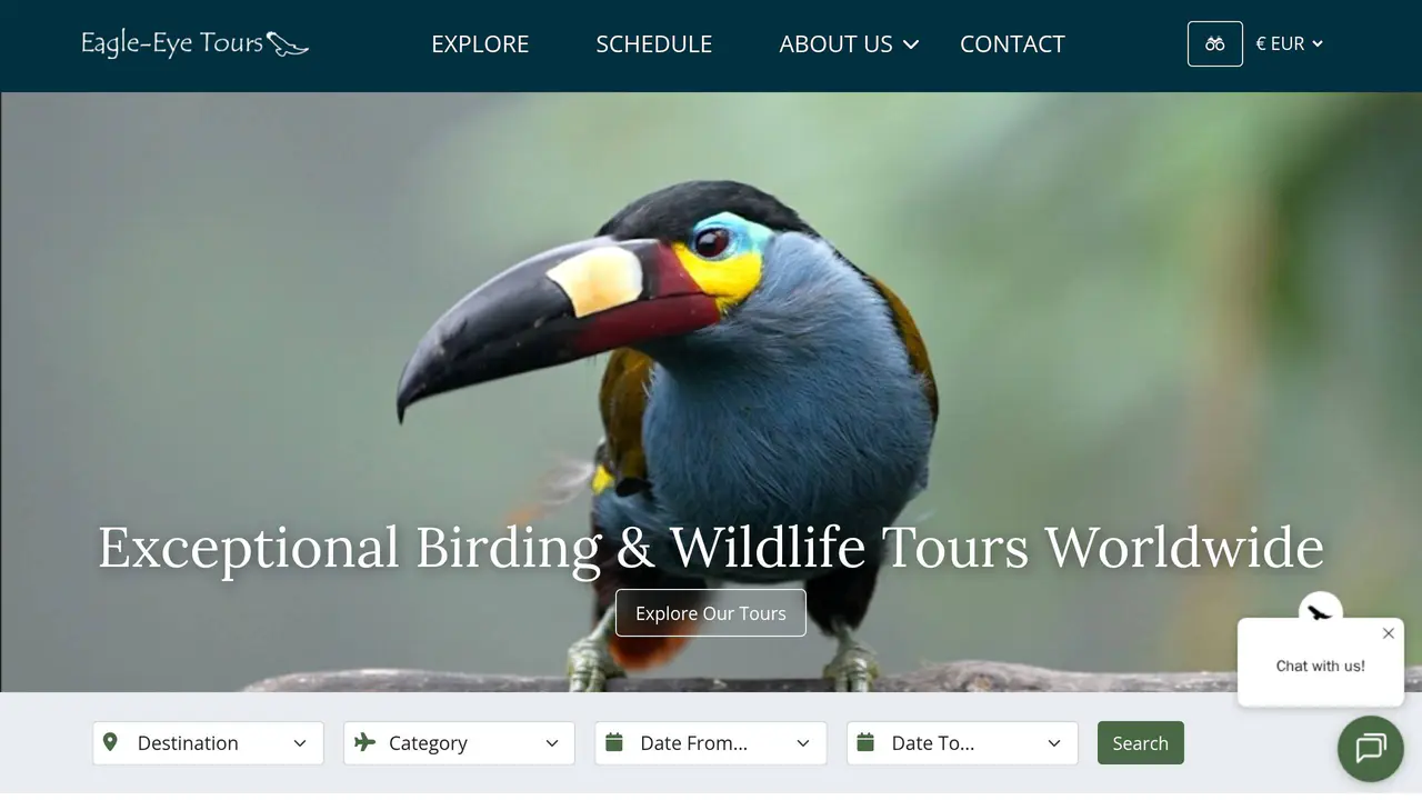 Homepage preview of Eagle Eye Solutions, captured Aug 4, 2026